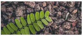 Tablou cu planta verde (120x50 cm)
