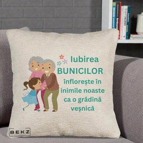 Cadou pentru Bunici - Perna Personalizata Bunicii Iubirea Infloreste cu Nepoata Teal, 40x40 cm, Bej Canapea, Husa Detasabila, Perna Inclusa, BEKZ®