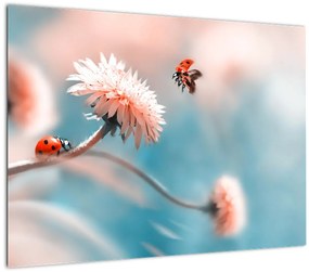 Tablou - Buburuze pe floare (70x50 cm)