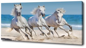 Tablou pe pânză White beach horse