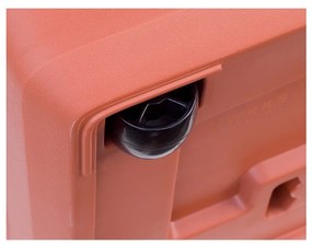 Plastia Plantator cu auto-apărare Berberis TRIO,te rakota