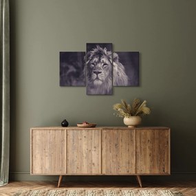 Tablou cu leu (90x60 cm)