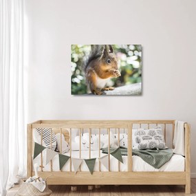 Tablou pe sticlă cu veverița (70x50 cm)