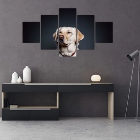 Tablou cu labrador (125x70 cm), în 40 de alte dimensiuni noi