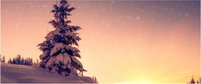 Tablou cu copac înzăpezit pe luncă (120x50 cm)