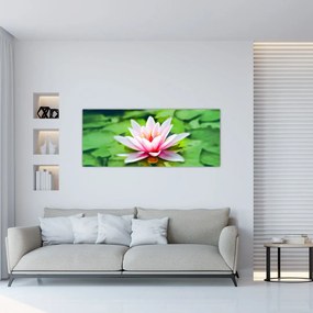 Tablou - Nuferi pe apă (120x50 cm)