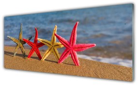 Tablouri acrilice Plaja Starfish Art Multi