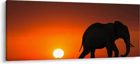 Tablou cu elefant în apus de soare (120x50 cm)