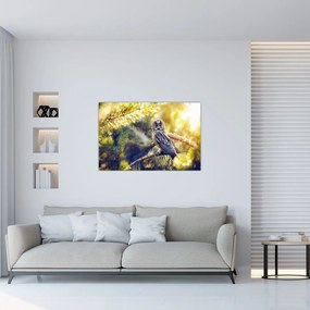 Tablou - Bufniță în copac (90x60 cm)