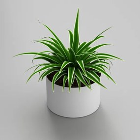 Ghiveci 11x17 cm alb