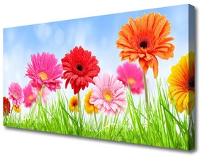 Tablou pe panza canvas Flori Iarbă Floral Multi
