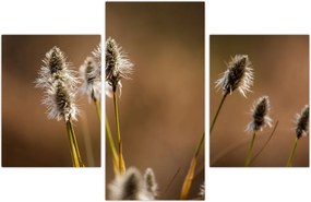 Tablou - Iarbă (90x60 cm)