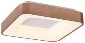Plafoniera LED camera de zi, sufragerie, dormitor Carmella 5056 RX