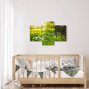 Tablou cu poiana și flori (90x60 cm)