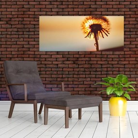 Tablou - Păpădie la apus de soare (120x50 cm)