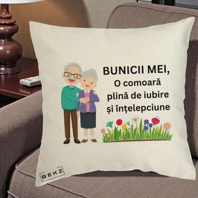 Cadou pentru Bunici - Perna Personalizata Bunicii Mei Comoara Cuplu Senior cu Flori Colorat, 40x40 cm, Ecru, Husa Detasabila, Perna Inclusa, BEKZ®