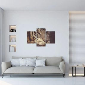 Tablou cu tigrul (90x60 cm)