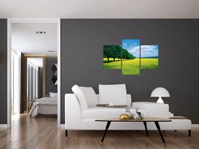 Tablou - Câmp cu alei (90x60 cm)