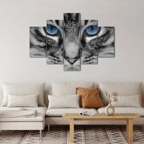 Tablou cu pisica (150x105 cm)