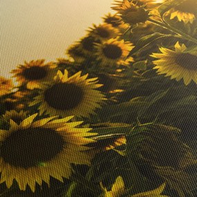 Tablou cu lan de floarea soarelui (cu ceas) (90x30 cm)