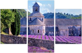 Tablou - Câmp de lavandă (90x60 cm)