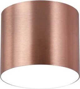 Immax NEO 07319L - Lampă LED dimabilă de tavan RONDATE 18W/230V 11,5 cm Wi-Fi Tuya roz