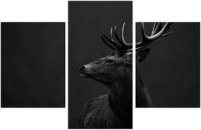 Tablou - Portret de căprioară (90x60 cm)