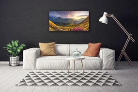 Tablou pe panza canvas Mountain Meadow Sun Peisaj Gri Albastru Galben Verde Roșu