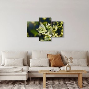 Tablou cu fluture (90x60 cm)