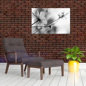 Tablou - Flori alb-negru (90x60 cm)