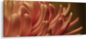 Tablou cu detailu florii (120x50 cm)