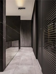 Plafoniera LED moderna stil minimalist LUSA 2L negru/nickel