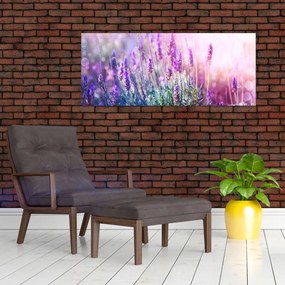 Tablou - Lavandă în strălucirea soarelui (120x50 cm)