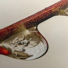Tablou cu picături de apă pe creangă (90x60 cm)