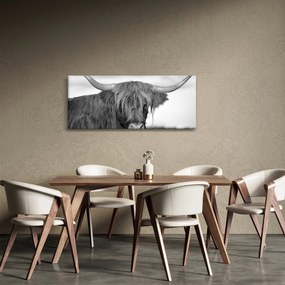 Tablou - Vacă scoțiană 2,alb-negru (120x50 cm)