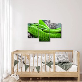 Tablou cu șerpi verzi (90x60 cm)
