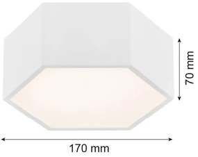 Plafonieră LED ARIZONA LED/9W/230V albă Argon 3828