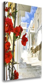 Tablou pe pânză Mykonos Grecia