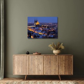 Tablou - Catedrala Sf. Peter și Paul, Brno, Republica Cehă (70x50 cm)