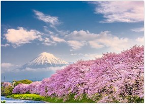 Tablou - Peisaj de primăvară japonez (70x50 cm)