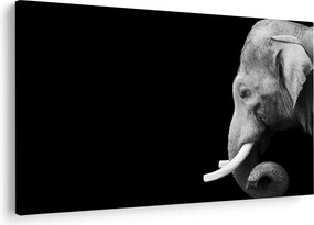 Tablou - Elefant (90x60 cm)