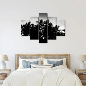 Tablou alb negru - palmieri (150x105 cm)