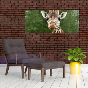Tablou cu girafa (120x50 cm)