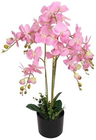 Planta artificiala orhidee cu ghiveci, 75 cm, roz 1, Roz, 75 cm