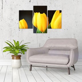 Tablou cu lalele (90x60 cm)