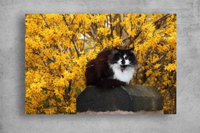 Tablouri Canvas Animale - Pisica si flori galbene