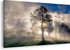 Tablou cu copac în ceață (90x60 cm)