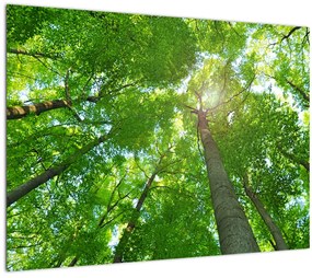 Tablou pe sticlă - Lunca (70x50 cm)