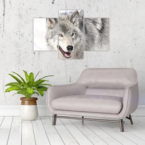 Tablou - Lupul în natură (90x60 cm)