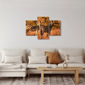 Tablou cu zebre (90x60 cm)